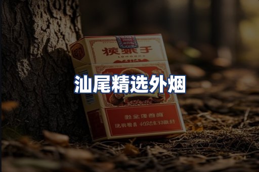 汕尾精选外烟